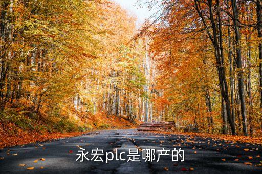 永宏plc是哪產(chǎn)的