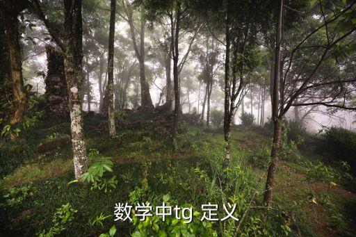 tg，什么是TG
