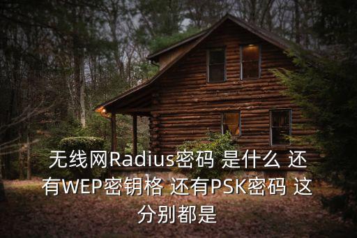 無線網(wǎng)Radius密碼 是什么 還有WEP密鑰格 還有PSK密碼 這分別都是