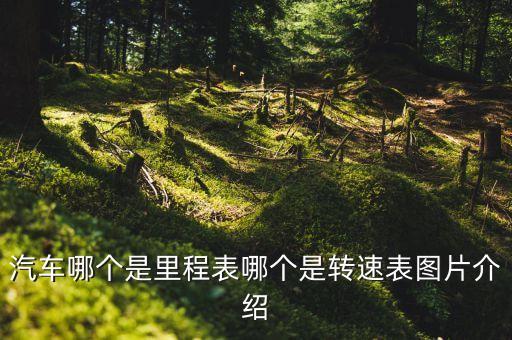 汽車哪個(gè)是里程表哪個(gè)是轉(zhuǎn)速表圖片介紹
