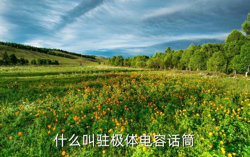 什么叫駐極體電容話筒