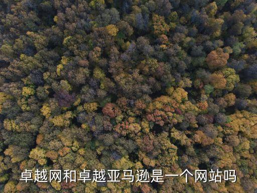 亞馬遜卓越網(wǎng)，卓越亞馬遜的網(wǎng)址是什么