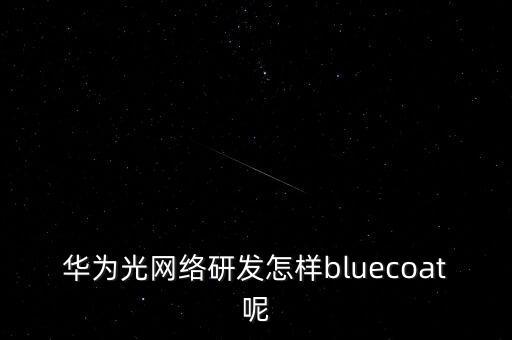 華為光網(wǎng)絡(luò)研發(fā)怎樣bluecoat呢