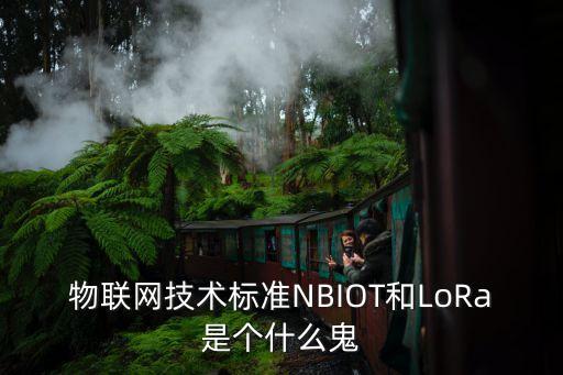 物聯(lián)網(wǎng)技術(shù)標(biāo)準(zhǔn)NBIOT和LoRa是個什么鬼