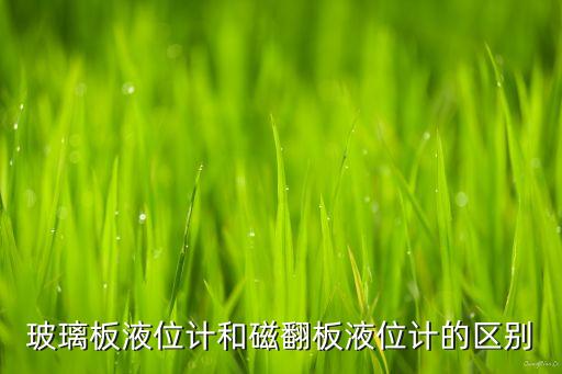 玻璃板液位計(jì)和磁翻板液位計(jì)的區(qū)別