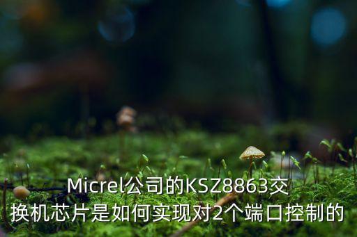 MICREL，micrel被收購嗎
