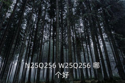 N25Q256 W25Q256 哪個好