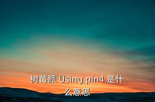 樹莓派 Using pin4 是什么意思