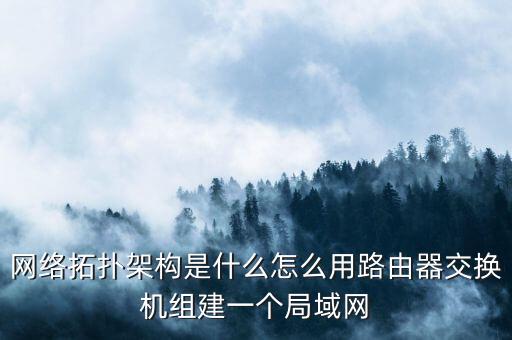 網(wǎng)絡(luò)拓?fù)浼軜?gòu)是什么怎么用路由器交換機(jī)組建一個(gè)局域網(wǎng)