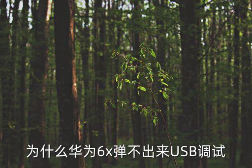 為什么華為6x彈不出來USB調(diào)試