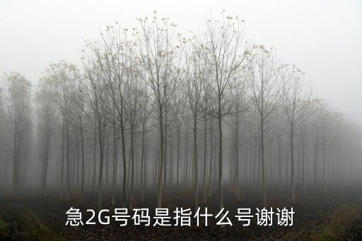 急2G號碼是指什么號謝謝