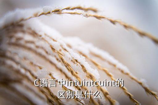 C語言中intuintcuint的區(qū)別是什么