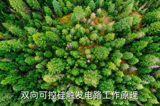 雙向可控硅觸發(fā)電路工作原理