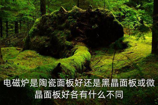 黑晶面板，電磁爐怎么區(qū)分普通面板和黑晶面板