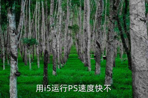 用i5運(yùn)行PS速度快不