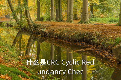 什么是CRC Cyclic Redundancy Chec