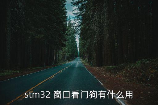 stm32 窗口看門狗有什么用