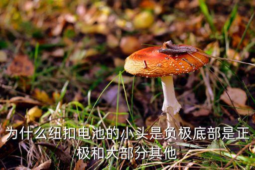 紐扣電池正負(fù)極，怎么辨別紐扣電池的正負(fù)極