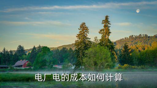 電廠電的成本如何計算