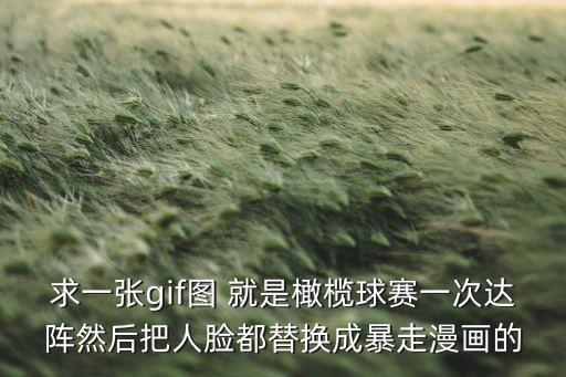 求一張gif圖 就是橄欖球賽一次達陣然后把人臉都替換成暴走漫畫的