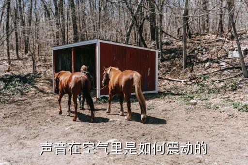 聲音在空氣里是如何震動的