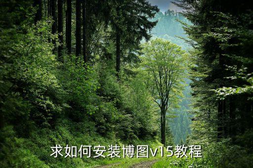 博圖v15，求如何安裝博圖v15教程