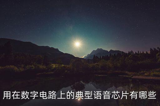 語音ic，用在數(shù)字電路上的典型語音芯片有哪些