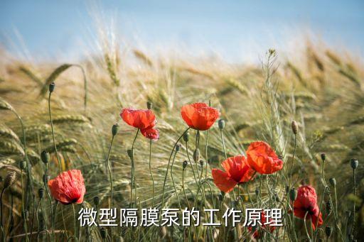 隔膜泵原理，微型隔膜泵的工作原理