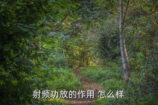 射頻放大器，射頻功放的作用 怎么樣