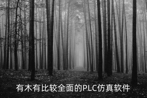 有木有比較全面的PLC仿真軟件