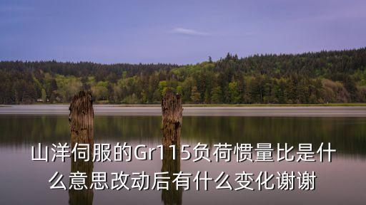 山洋伺服的Gr115負荷慣量比是什么意思改動后有什么變化謝謝