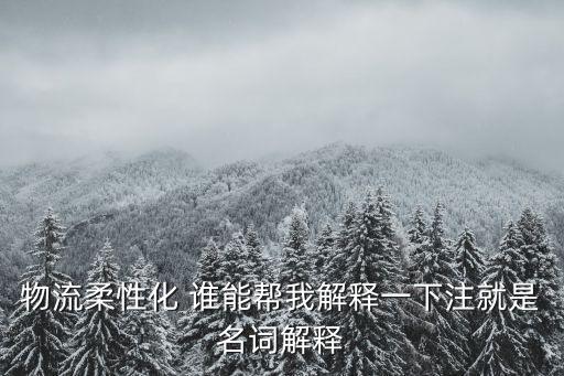 物流柔性化 誰能幫我解釋一下注就是名詞解釋