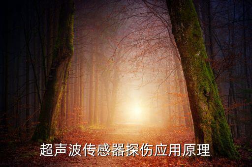 超聲波傳感器探傷應(yīng)用原理
