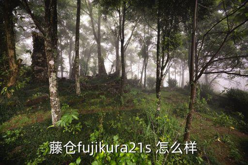 藤倉fujikura21s 怎么樣