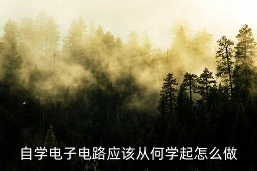 零基礎(chǔ)學(xué)電子，自學(xué)電子電路應(yīng)該從何學(xué)起怎么做
