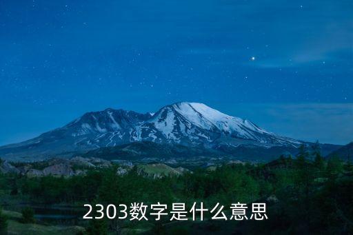 2303數(shù)字是什么意思