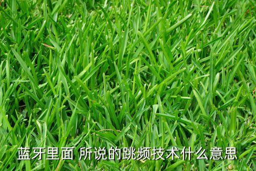藍(lán)牙里面 所說(shuō)的跳頻技術(shù)什么意思