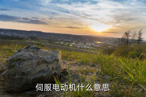 伺服電動(dòng)機(jī)什么意思
