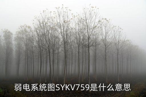 弱電系統(tǒng)圖SYKV759是什么意思