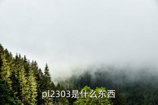 pl2303是什么東西