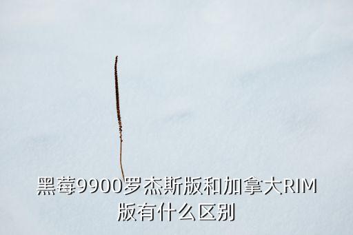 加拿大版，黑莓9900羅杰斯版和加拿大RIM版有什么區(qū)別