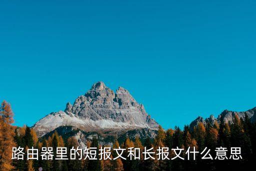 路由器里的短報(bào)文和長報(bào)文什么意思