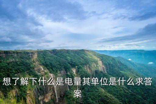 想了解下什么是電量其單位是什么求答案