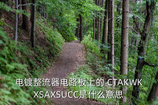電鍍整流器電路板上的 CTAKWKXSAXSUCC是什么意思