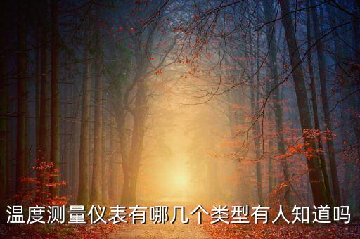 溫度測(cè)量?jī)x表有哪幾個(gè)類型有人知道嗎