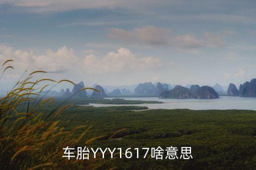 車胎YYY1617啥意思
