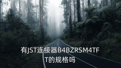 有JST連接器B4BZRSM4TFT的規(guī)格嗎