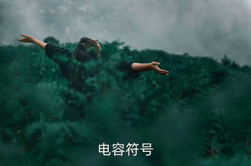 電容器的電工符號，電容符號
