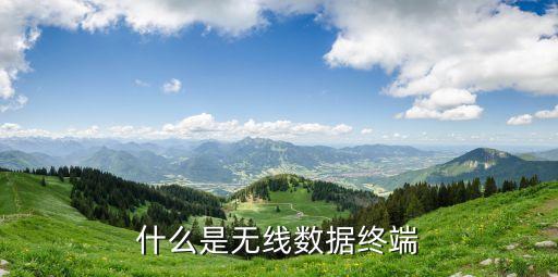 什么是無線數(shù)據(jù)終端