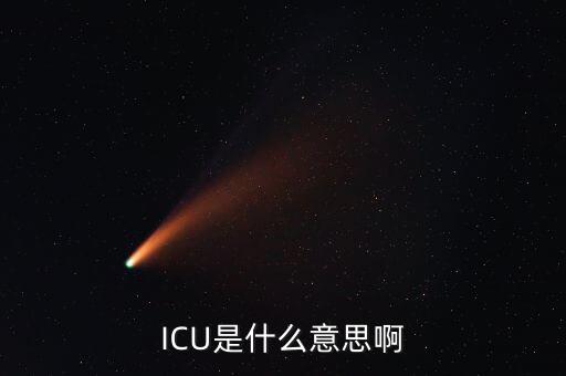 ICU是什么意思啊